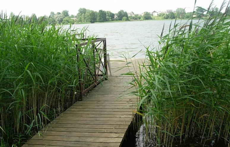 Ezerkiemis Hotel Trakai Kültér fotó